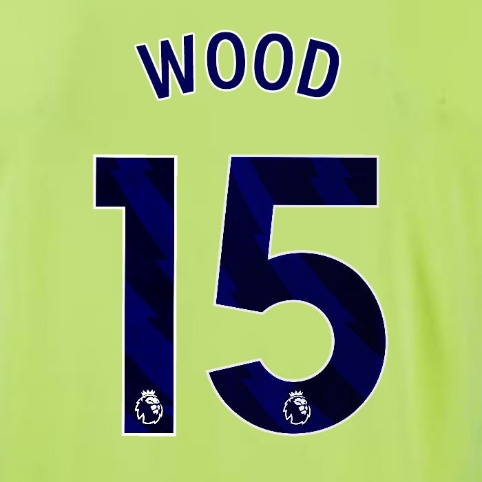 2024 2025 OFFICIAL SOUTHAMPTON WOOD 15 BLUE AWAY PLAYER SIZE NAME SET