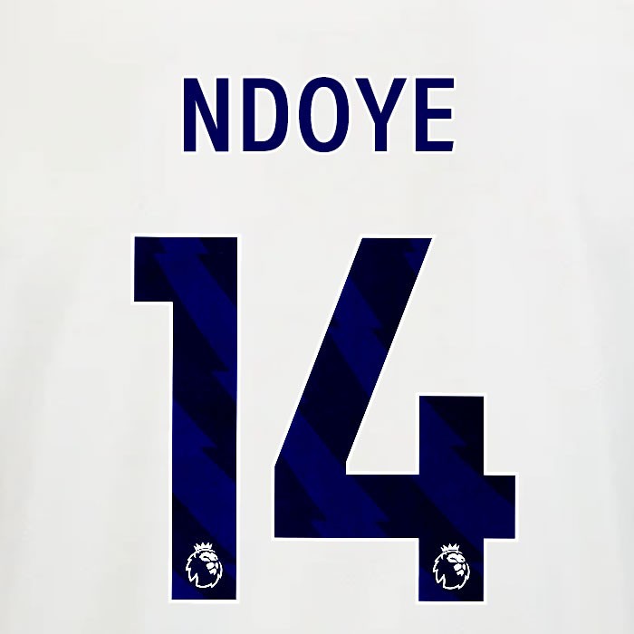 2025 2026 OFFICIAL NOTTINGHAM NDOYE 14 BLUE AWAY PLAYER SIZE NAMESET