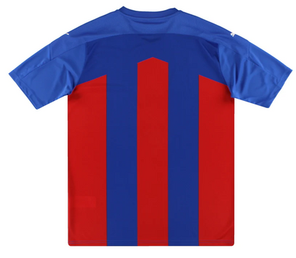 BNWT 2020 2021 CRYSTAL PALACE HOME PUMA FOOTBALL SHIRT PERSONALISED MEN'S