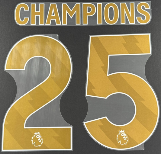 LIVERPOOL CHAMPIONS  25 OFFICIAL AVERY DENNISON GOLD PLAYER SIZE NAME SET