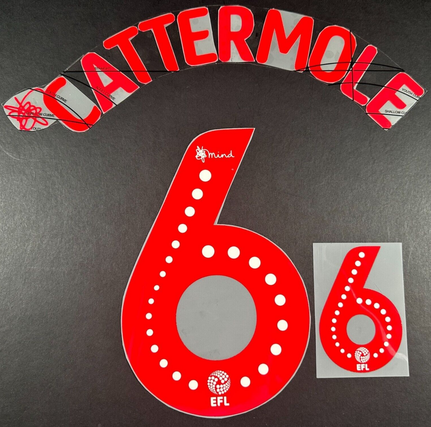SUNDERLAND AFC 2020 2021 OFFICIAL CATTERMOLE 6 ELMS UK PLAYER SIZE NAME SET