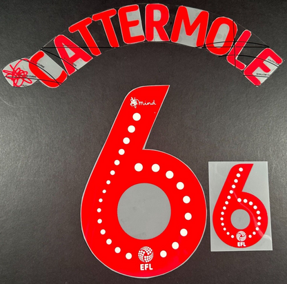 SUNDERLAND AFC 2020 2021 OFFICIAL CATTERMOLE 6 ELMS UK PLAYER SIZE NAME SET