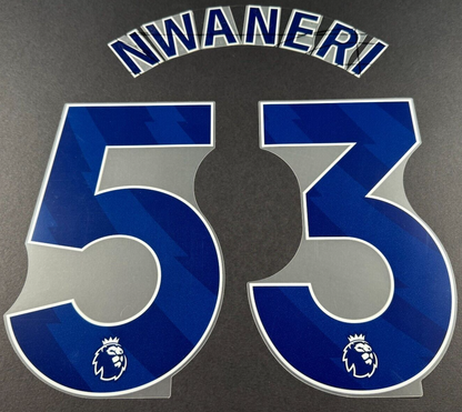 ARSENAL 2024/25 NWANERI 53 OFFICIAL AVERY DENNISON BLUE PLAYER SIZE NAME SET