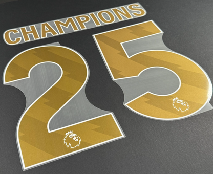 LIVERPOOL CHAMPIONS  25 OFFICIAL AVERY DENNISON GOLD PLAYER SIZE NAME SET
