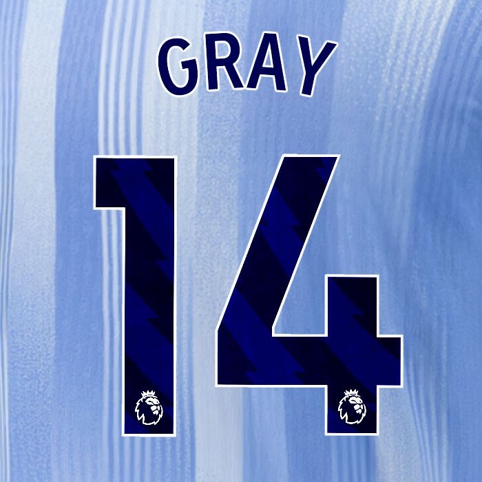 2024 2025 TOTTENHAM GRAY 14 BLUE AWAY PLAYER SIZE NAME SET