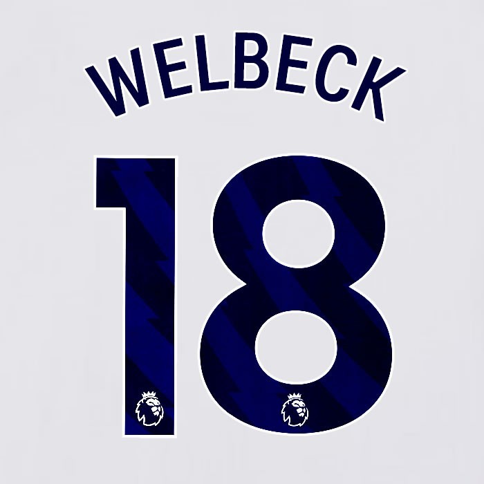 2023 2024 BRIGHTON WELBECK 18 OFFICIAL BLUE HOME PLAYER SIZE NAME SET