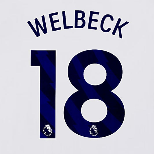 2023 2024 BRIGHTON WELBECK 18 OFFICIAL BLUE HOME PLAYER SIZE NAME SET