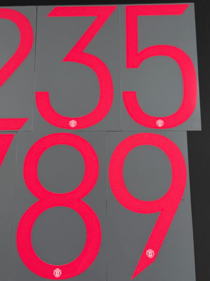 2021 2022 OFFICIAL MANCHESTER UNITED AWAY UCL CUP PLAYER SIZE NUMBERS 270MM
