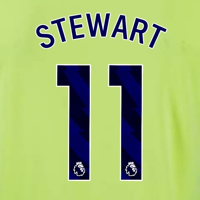 2024 2025 OFFICIAL SOUTHAMPTON STEWART 11 BLUE AWAY PLAYER SIZE NAME SET