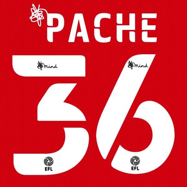 BARNSLEY 2020 2021 OFFICIAL PATCHE 36 HOME PLAYER SIZE NAME SET