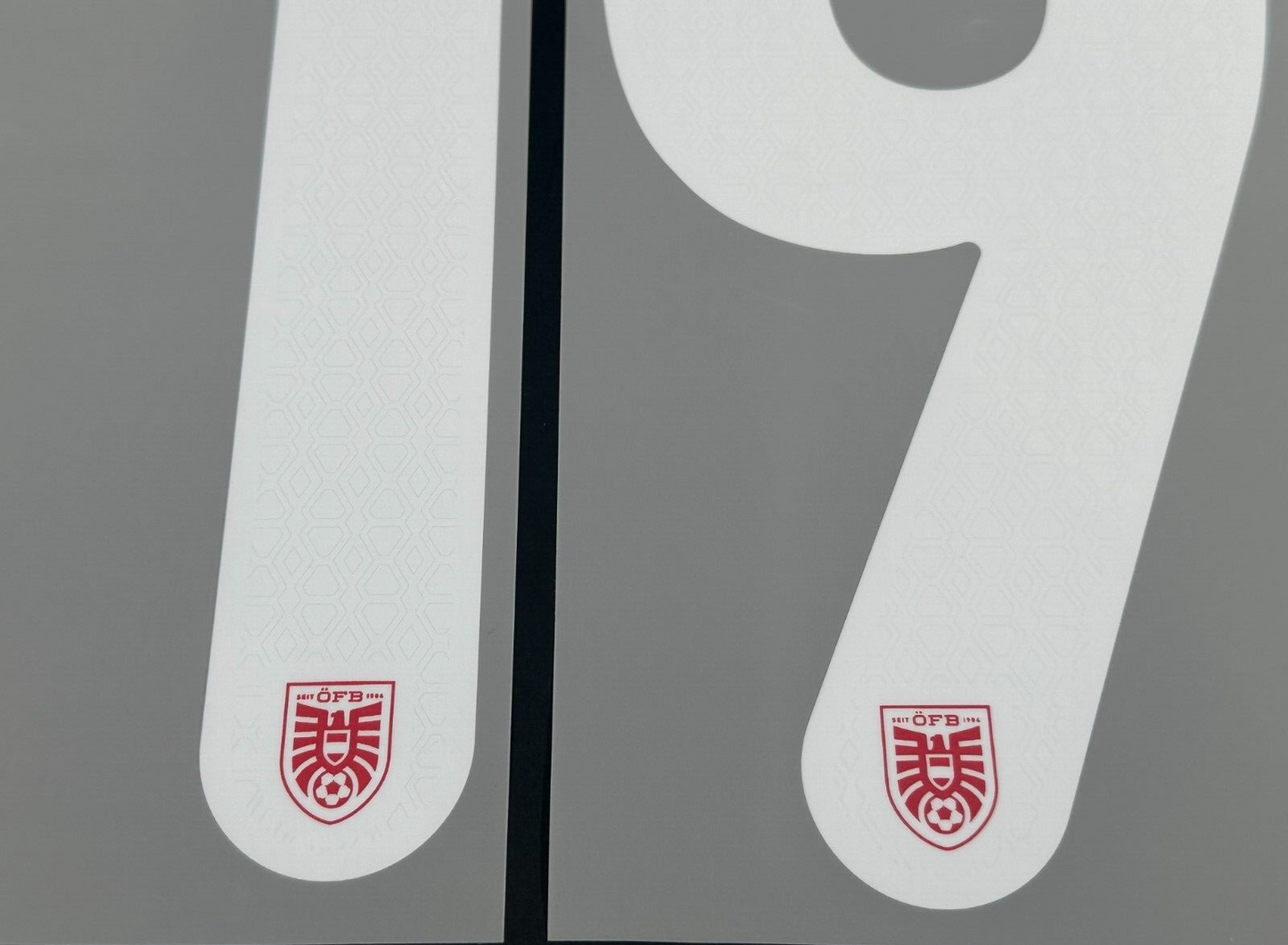 AUSTRIA 2024 2025 OFFICIAL BAUMGARTNER 19 HOME PLAYER SIZE NAMESET