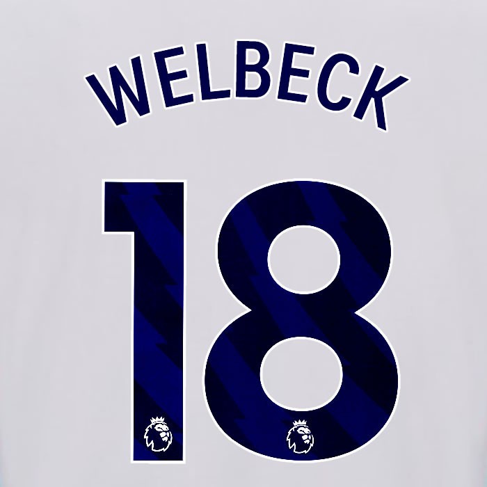2025 2026 OFFICIAL BRIGHTON WELBECK 18 HOME BLUE PLAYER SIZE NAMESET