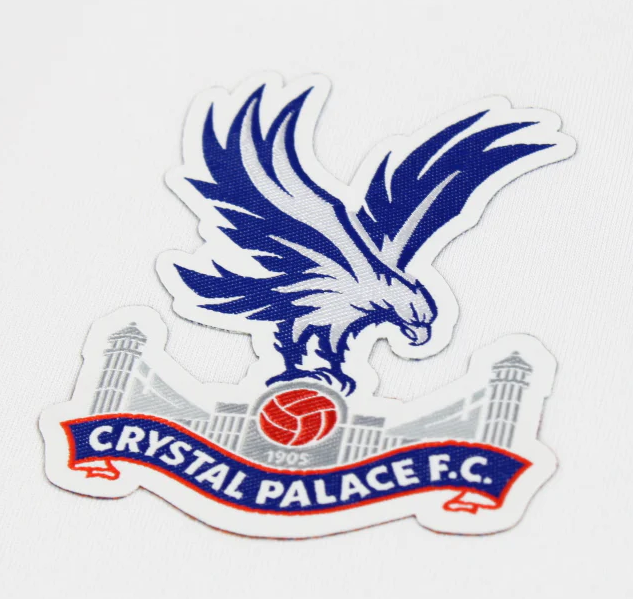 BNWT 2020 2021 CRYSTAL PALACE AWAY PUMA FOOTBALL SHIRT PERSONALISED MEN'S