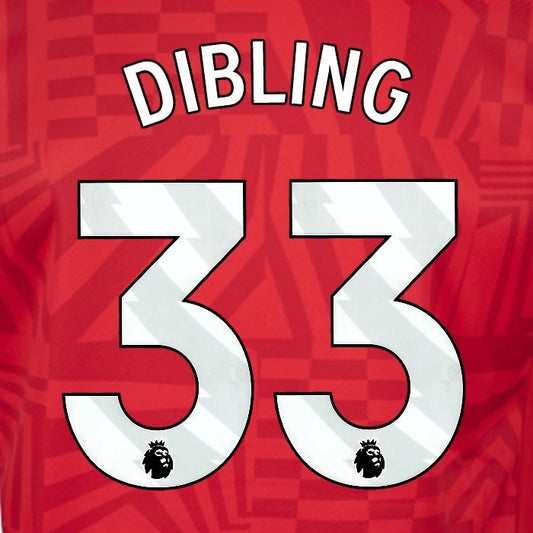 2024 2025 OFFICIAL SOUTHAMPTON DIBLING 33 WHITE HOME PLAYER SIZE NAME SET