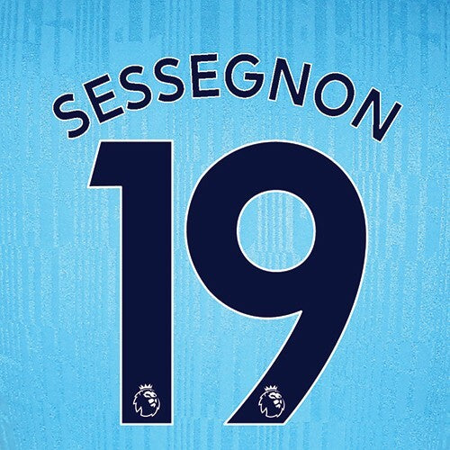 TOTTENHAM 2019-23 SESSEGNON 19 OFFICIAL AVERY DENNISON NAVY PLAYER SIZE NAME SET