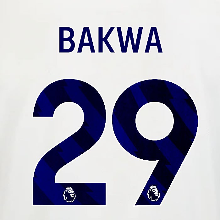 2025 2026 OFFICIAL NOTTINGHAM BAKWA 29 BLUE AWAY PLAYER SIZE NAMESET