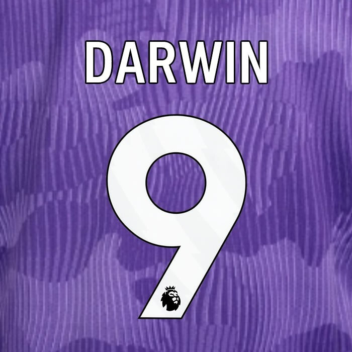 2023 2024 OFFICIAL LIVERPOOL DARWIN 9 WHITE 3RD PLAYER SIZE NAMESET