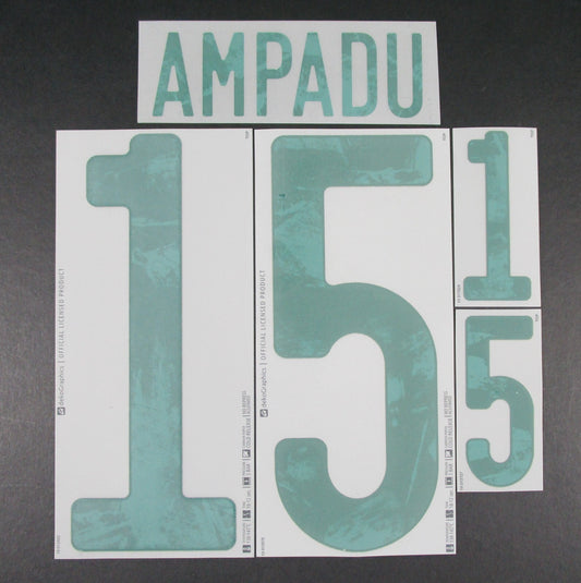 WALES 2020 2021 OFFICIAL DekoGraphics AMPADU 15 AWAY GREEN PLAYER SIZE NAMESET