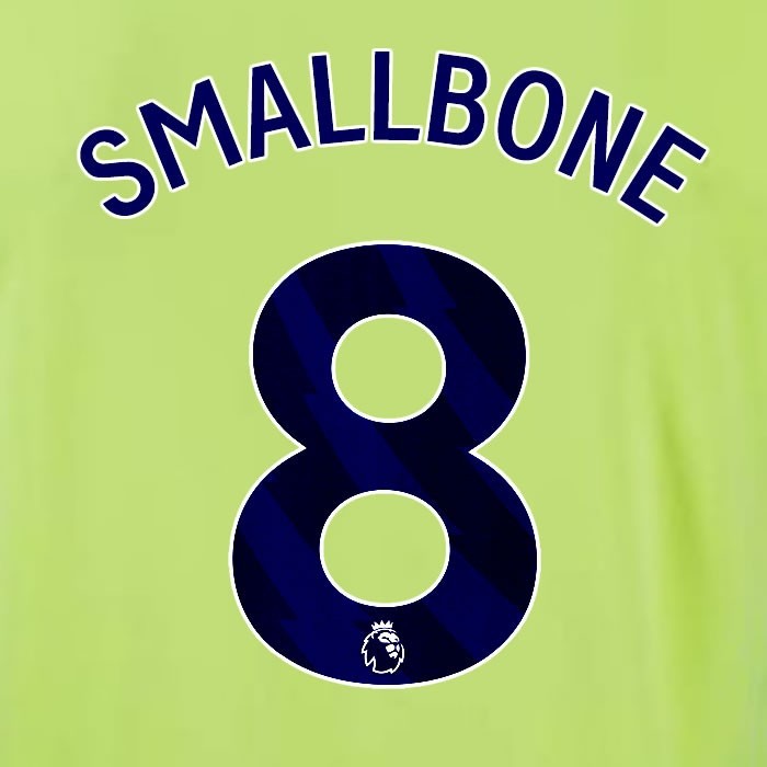2024 2025 OFFICIAL SOUTHAMPTON SMALLBONE 8 BLUE AWAY PLAYER SIZE NAME SET