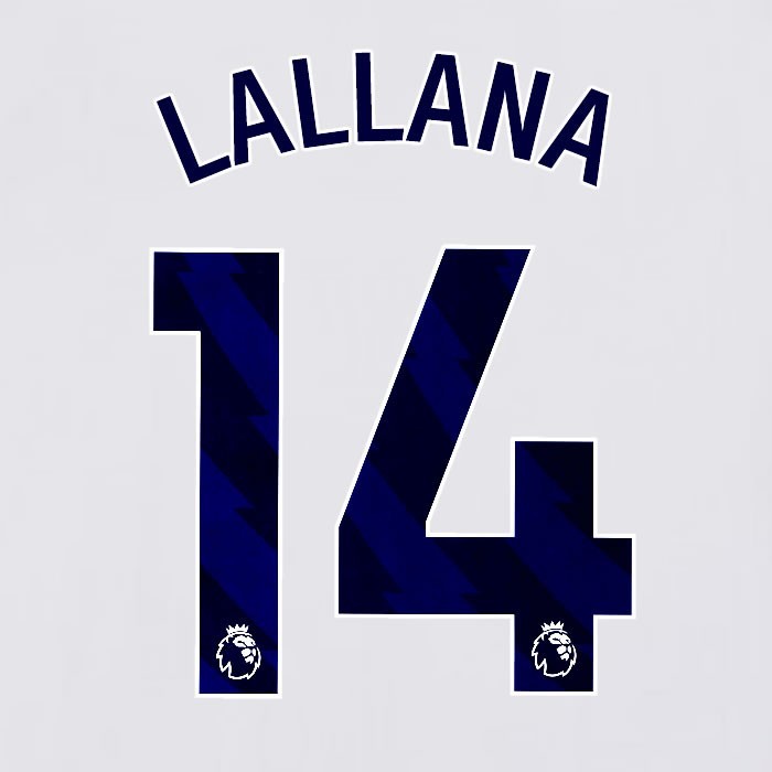 2023 2024 BRIGHTON LALLANA 14 OFFICIAL BLUE HOME PLAYER SIZE NAME SET