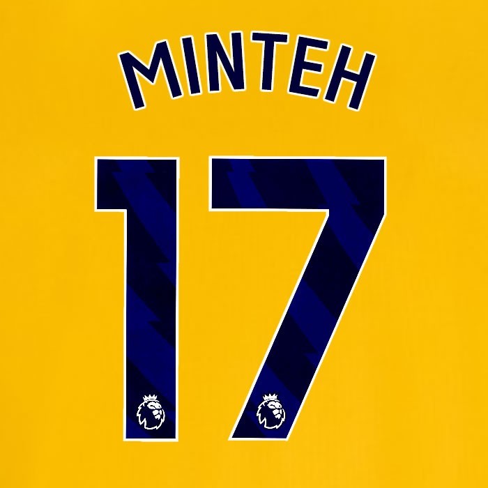 2024 2025 OFFICIAL BRIGHTON MINTEH 17 AWAY BLUE PLAYER SIZE NAMESET