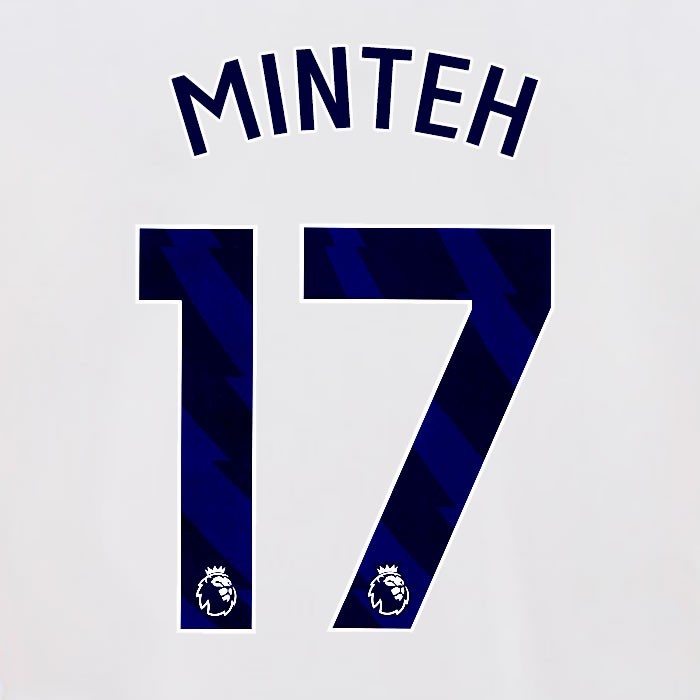 2024 2025 OFFICIAL BRIGHTON MINTEH 17 HOME BLUE PLAYER SIZE NAMESET