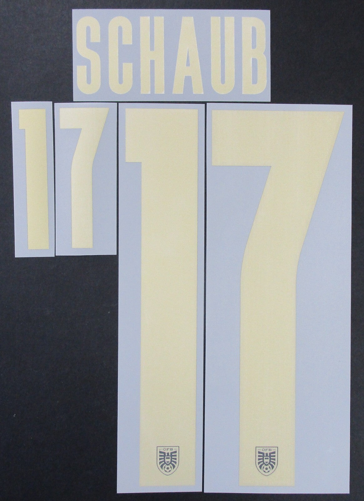 AUSTRIA 2020 2021 OFFICIAL SCHAUB 17 AWAY PLAYER SIZE NAMESET