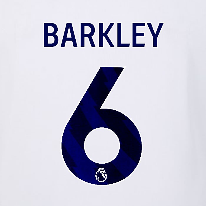 2023 2024 LUTON TOWN OFFICIAL BARKLEY 6 BLUE AWAY PLAYER SIZE NAMESET
