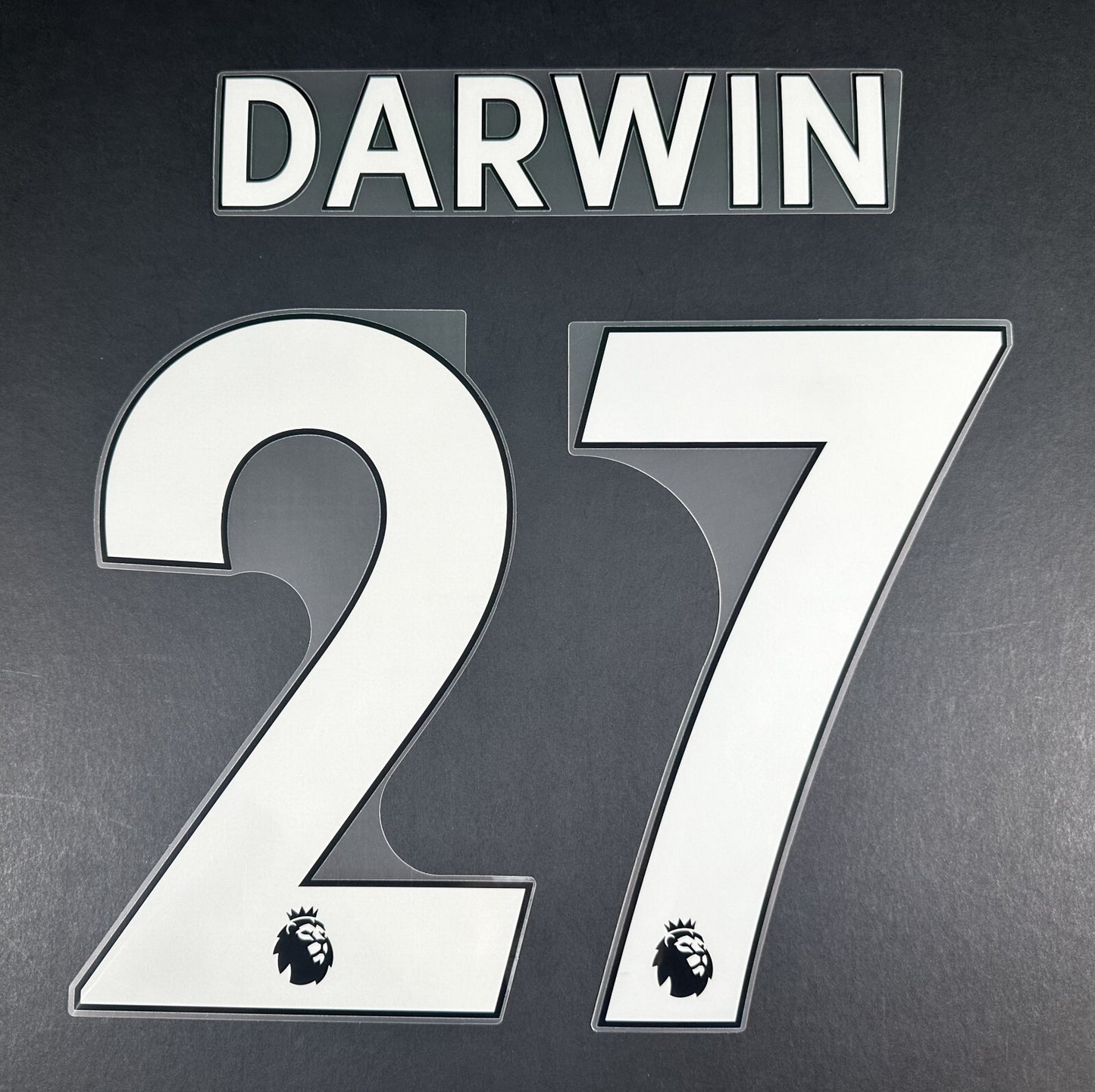 2019 2023 DARWIN 27 OFFICIAL AVERY DENNISON WHITE PLAYER SIZE NAMESET