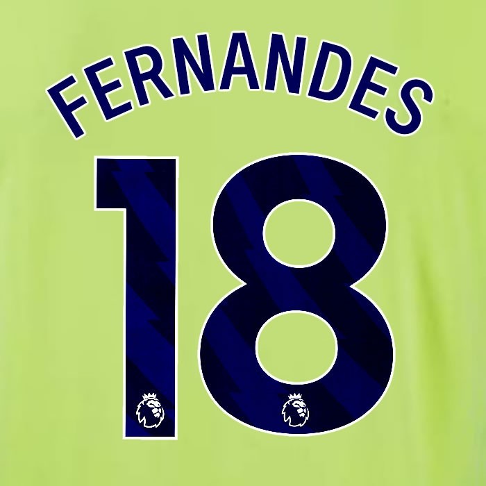 2024 2025 OFFICIAL SOUTHAMPTON FERNANDES 18 BLUE AWAY PLAYER SIZE NAME SET