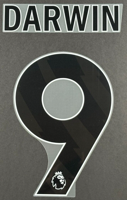 2024 - 2025 OFFICIAL LIVERPOOL DARWIN 9 BLACK AWAY PLAYER SIZE NAMESET