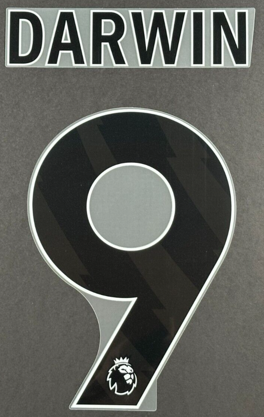 2024 - 2025 OFFICIAL LIVERPOOL DARWIN 9 BLACK AWAY PLAYER SIZE NAMESET