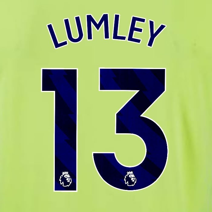 2024 2025 OFFICIAL SOUTHAMPTON LUMLEY 13 BLUE AWAY PLAYER SIZE NAME SET