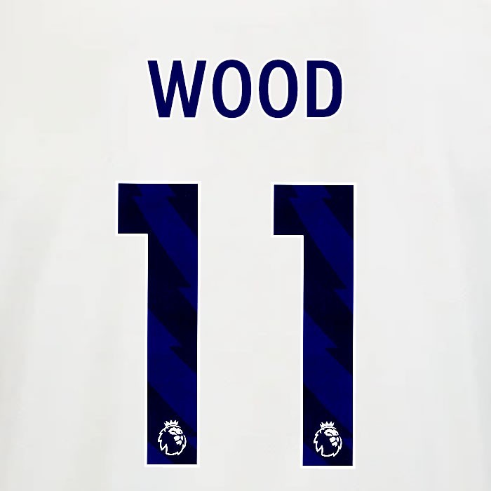 2025 2026 OFFICIAL NOTTINGHAM WOOD 11 BLUE AWAY PLAYER SIZE NAMESET