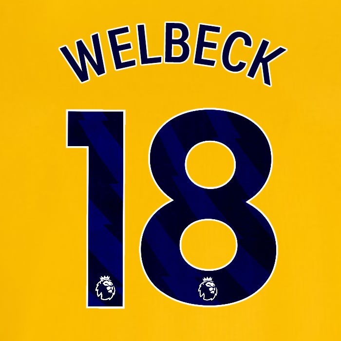 2024 2025 OFFICIAL BRIGHTON WELBECK 18 AWAY BLUE PLAYER SIZE NAMESET