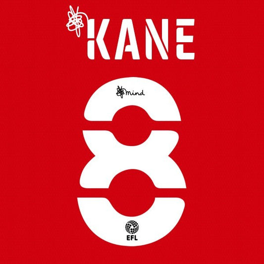 BARNSLEY 2020 2021 OFFICIAL KANE 8 HOME PLAYER SIZE NAME SET