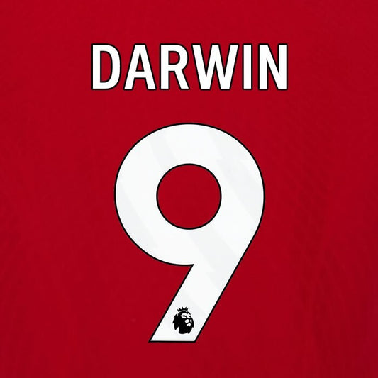 2023 2024 OFFICIAL LIVERPOOL DARWIN 9 WHITE HOME PLAYER SIZE NAMESET