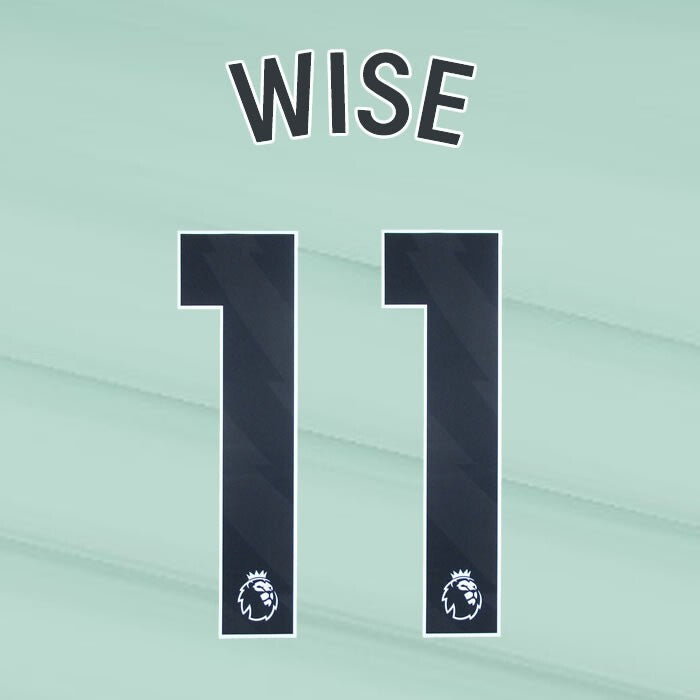 2023 2024 OFFICIAL CHELSEA WISE 11 BLACK 3RD PLAYER SIZE NAMESET