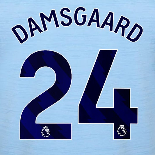2023 2024 BRENTFORD DAMSGAARD 24 OFFICIAL BLUE AWAY PLAYER SIZE NAMESET