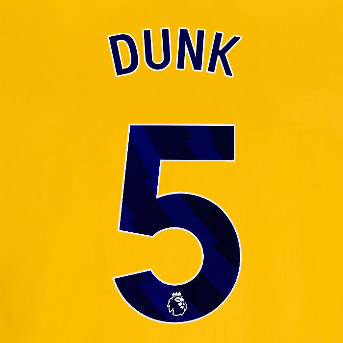 2025 2026 OFFICIAL BRIGHTON HOVE ALBION DUNK 5 3RD PLAYER SIZE NAME SET