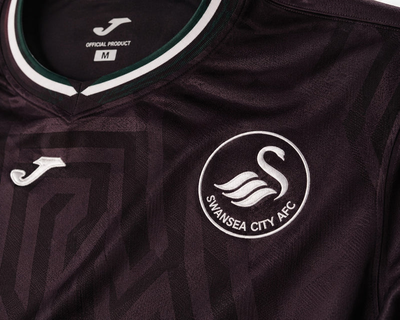 Swansea City - 2025/2026